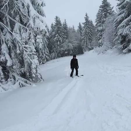 Vallei-zicht Studio Geschikt Voor Voor 2 Tot 3 Volwassenen Of 2 Volw Plus 2 Kinderen Apartment Winterberg