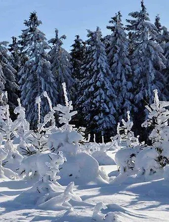 Vallei-zicht Studio Geschikt Voor Voor 2 Tot 3 Volwassenen Of 2 Volw Plus 2 Kinderen * Winterberg